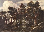 Jacob van Ruisdael The Marsh in a Forest Germany oil painting reproduction